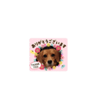 marochanのスタンプ（個別スタンプ：7）