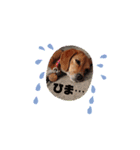 marochanのスタンプ（個別スタンプ：18）