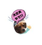 marochanのスタンプ（個別スタンプ：24）
