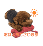 ココちゃんスタンプ Part.1（個別スタンプ：1）