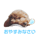 ココちゃんスタンプ Part.1（個別スタンプ：2）