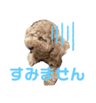 ココちゃんスタンプ Part.1（個別スタンプ：3）