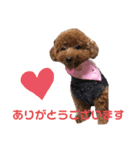 ココちゃんスタンプ Part.1（個別スタンプ：4）
