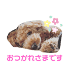 ココちゃんスタンプ Part.1（個別スタンプ：7）