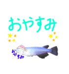 元気なメダカさん❤️（個別スタンプ：2）