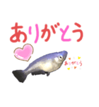 元気なメダカさん❤️（個別スタンプ：6）