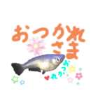 元気なメダカさん❤️（個別スタンプ：8）