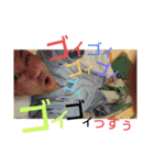 けけけけけぃすけぃ～DoFestival～R2（個別スタンプ：11）