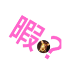 けけけけけぃすけぃ～DoFestival～R2（個別スタンプ：27）