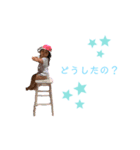 ひなまりゆめスタンプ2（個別スタンプ：6）