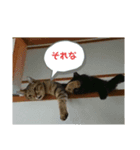 ダイ＆ジロ（個別スタンプ：4）