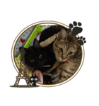 ダイ＆ジロ（個別スタンプ：7）