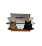ダイ＆ジロ（個別スタンプ：8）