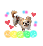 恋々芭-cocoha-の日常スタンプ♡（個別スタンプ：1）
