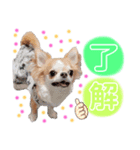 恋々芭-cocoha-の日常スタンプ♡（個別スタンプ：2）