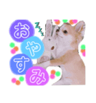恋々芭-cocoha-の日常スタンプ♡（個別スタンプ：4）