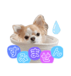 恋々芭-cocoha-の日常スタンプ♡（個別スタンプ：6）