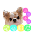 恋々芭-cocoha-の日常スタンプ♡（個別スタンプ：7）