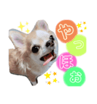 恋々芭-cocoha-の日常スタンプ♡（個別スタンプ：8）