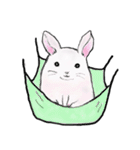 ゆるっと、我が家のチンチラさん。（個別スタンプ：12）