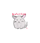ゆるっと、我が家のチンチラさん。（個別スタンプ：24）