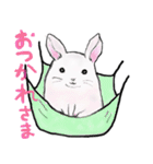 ゆるっと、我が家のチンチラさん。（個別スタンプ：25）