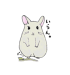 ゆるっと、我が家のチンチラさん。（個別スタンプ：34）