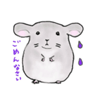 ゆるっと、我が家のチンチラさん。（個別スタンプ：39）