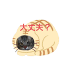 ツンデレ猫 みりんとぽんずの毎日（個別スタンプ：16）
