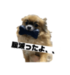 オルショビーン（個別スタンプ：2）
