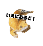 オルショビーン（個別スタンプ：8）