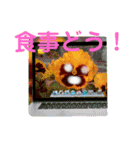 ゆめ言葉（個別スタンプ：38）