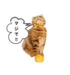 ぱるるんの常用スタンプ（個別スタンプ：3）