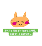いつも笑顔の猫8（個別スタンプ：7）