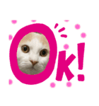 かなめくんなのだ（個別スタンプ：3）