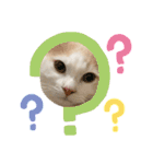 かなめくんなのだ（個別スタンプ：5）