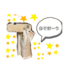 かなめくんなのだ（個別スタンプ：7）