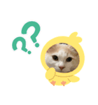 かなめくんなのだ（個別スタンプ：8）