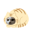 かなめくんなのだ（個別スタンプ：15）