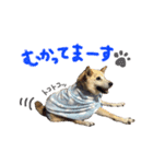 くうさんです（個別スタンプ：4）