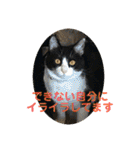シーくん5（個別スタンプ：19）
