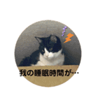 シーくん5（個別スタンプ：28）