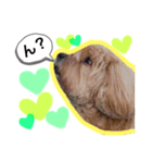 モナカ♡（個別スタンプ：1）