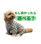 モナカ♡（個別スタンプ：5）