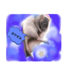fancy rat！（個別スタンプ：2）