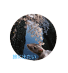 fancy rat！（個別スタンプ：6）