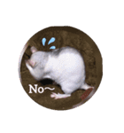 fancy rat！（個別スタンプ：8）
