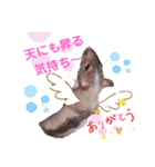 fancy rat！（個別スタンプ：12）