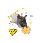 fancy rat！（個別スタンプ：16）