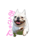 フレブルコナリ3（個別スタンプ：2）
